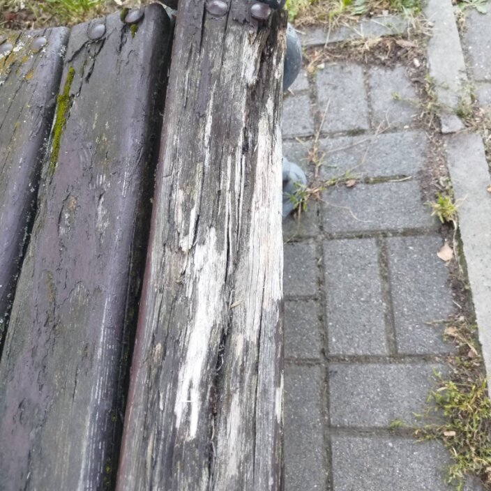 Inne — Ławka z szyną ławkową i metalowym detalem w ogrodzie, , Ostrzeszów.